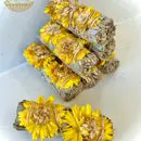 Sunflower White Sage Bundle