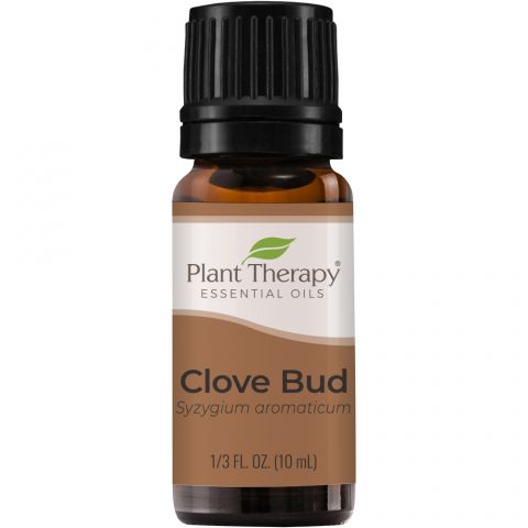 Clove Bud Essential Oil 10 mL