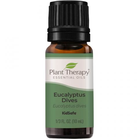 Eucalyptus Dives Essential Oil