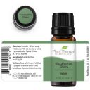 Eucalyptus Dives Essential Oil