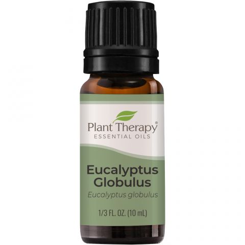 Eucalyptus Globulus 10 ml essential oil