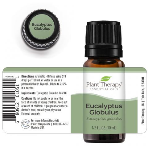 Eucalyptus Globulus 10 ml essential oil